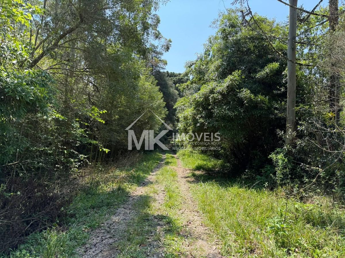 Terreno, 2 hectares - Foto 7