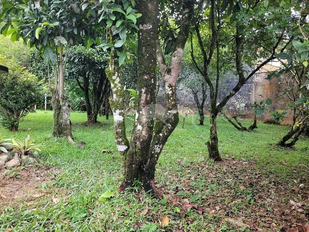 Terreno, 360 m² - Foto 6