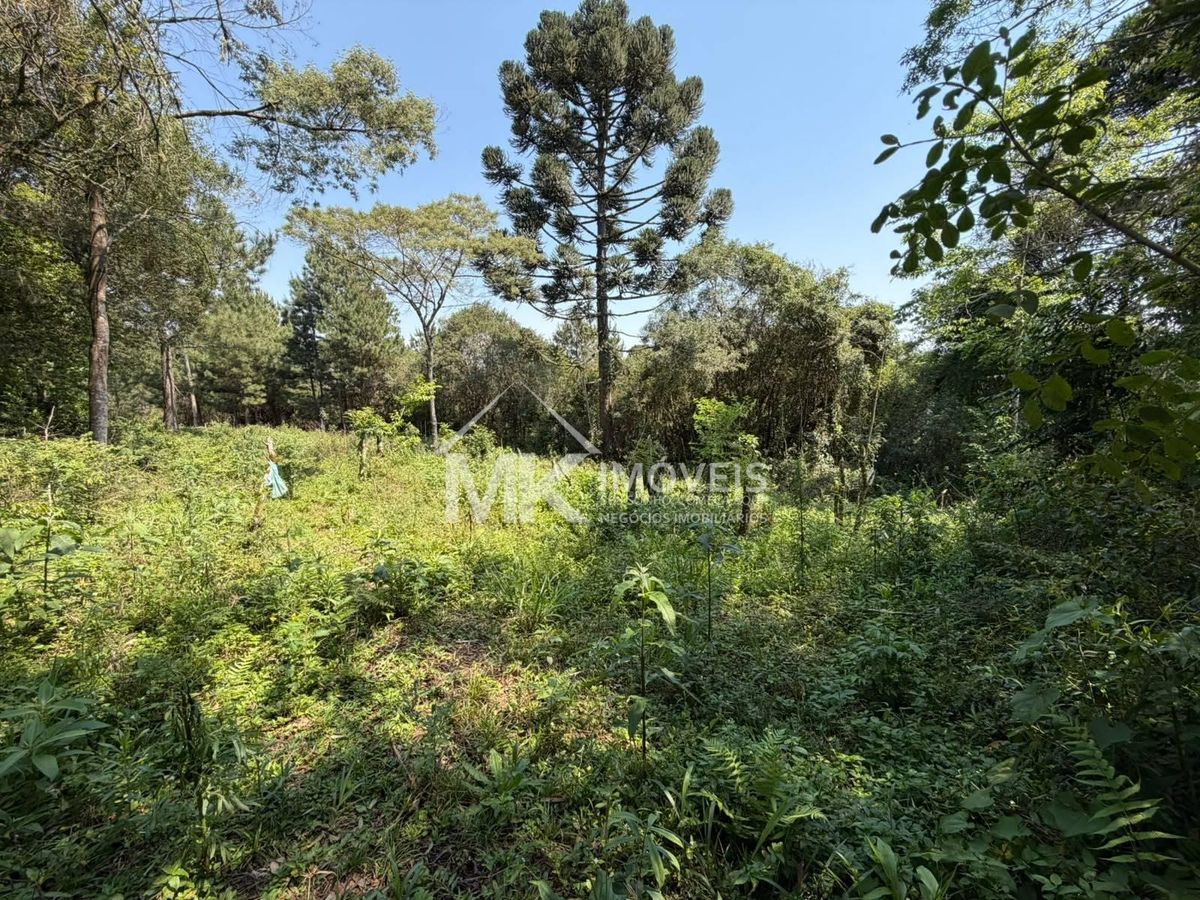 Terreno, 2 hectares - Foto 9