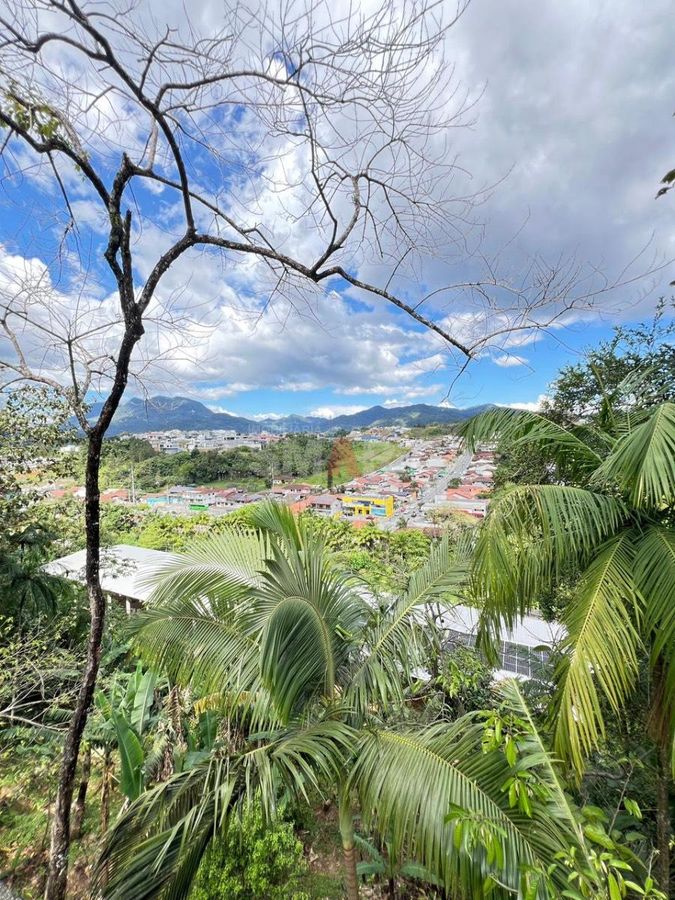 Terreno 465m2 no Bairro Água Verde