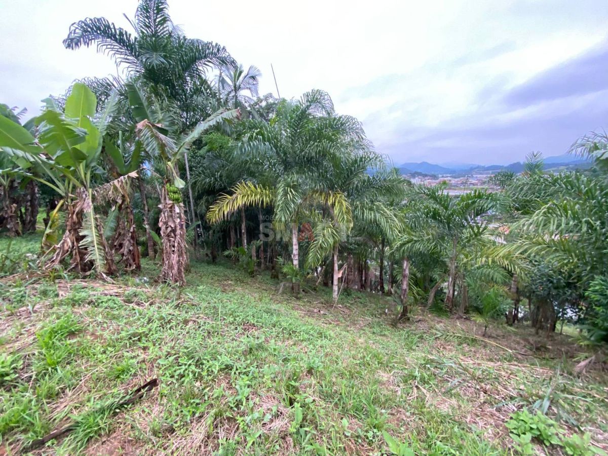 Terreno com 775,95m² à Venda no Loteamento Catarina de Alexandria