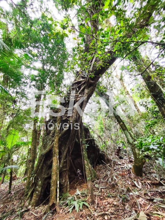 Chácara com 200Mil m² Manso - Jaraguá Do Sul