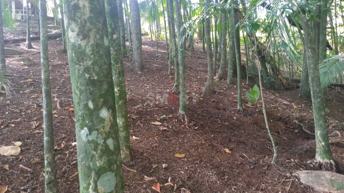 Casa com 3 Quartos com Terreno Amplo para Construção ao Lado