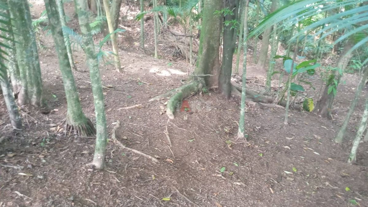 Casa com 3 Quartos com Terreno Amplo para Construção ao Lado
