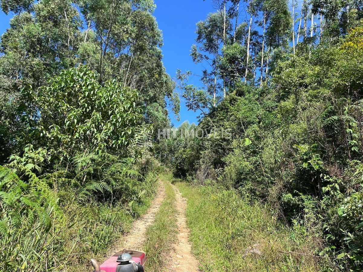Sítio - rio dos bugres - ituporanga - sc