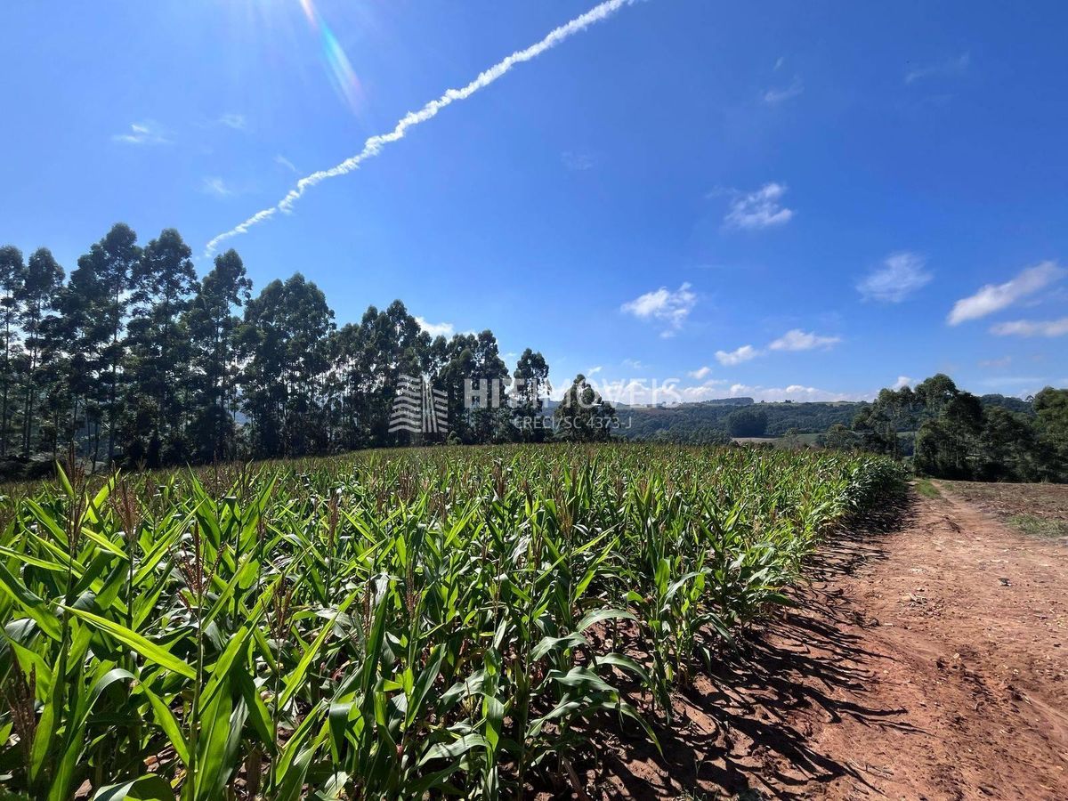 Sítio - rio dos bugres - ituporanga - sc