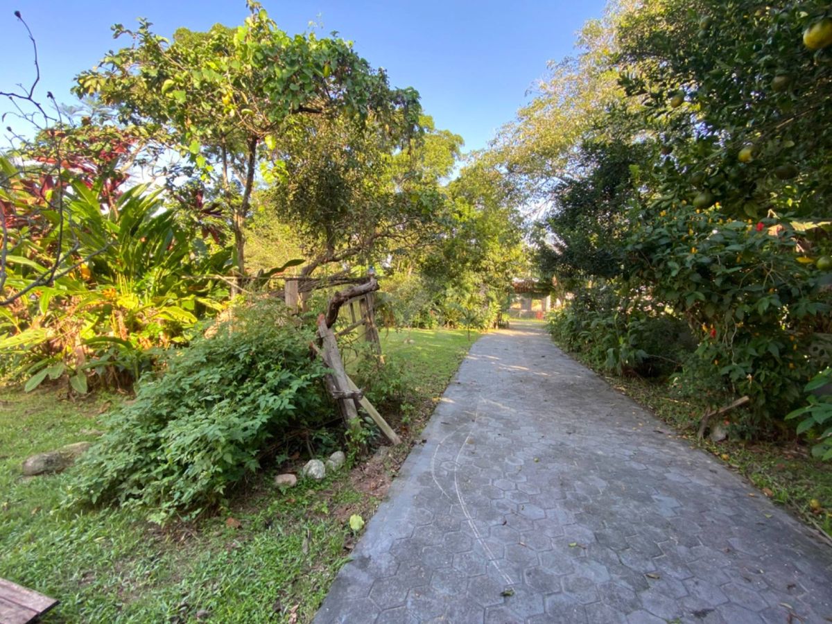 Casa com amplo terreno, 3 quartos, centro