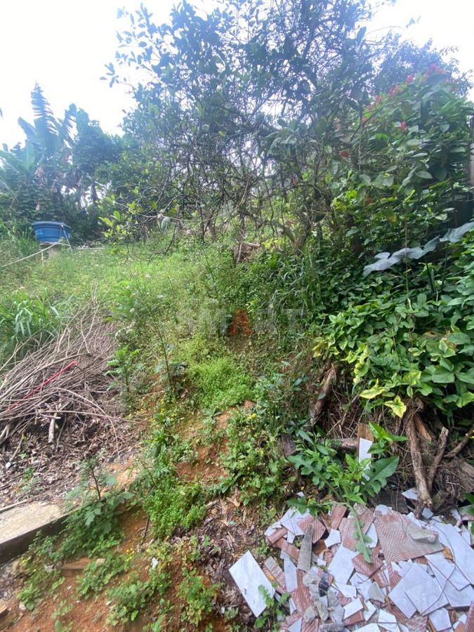 Terreno com Casa Vila Lenzi