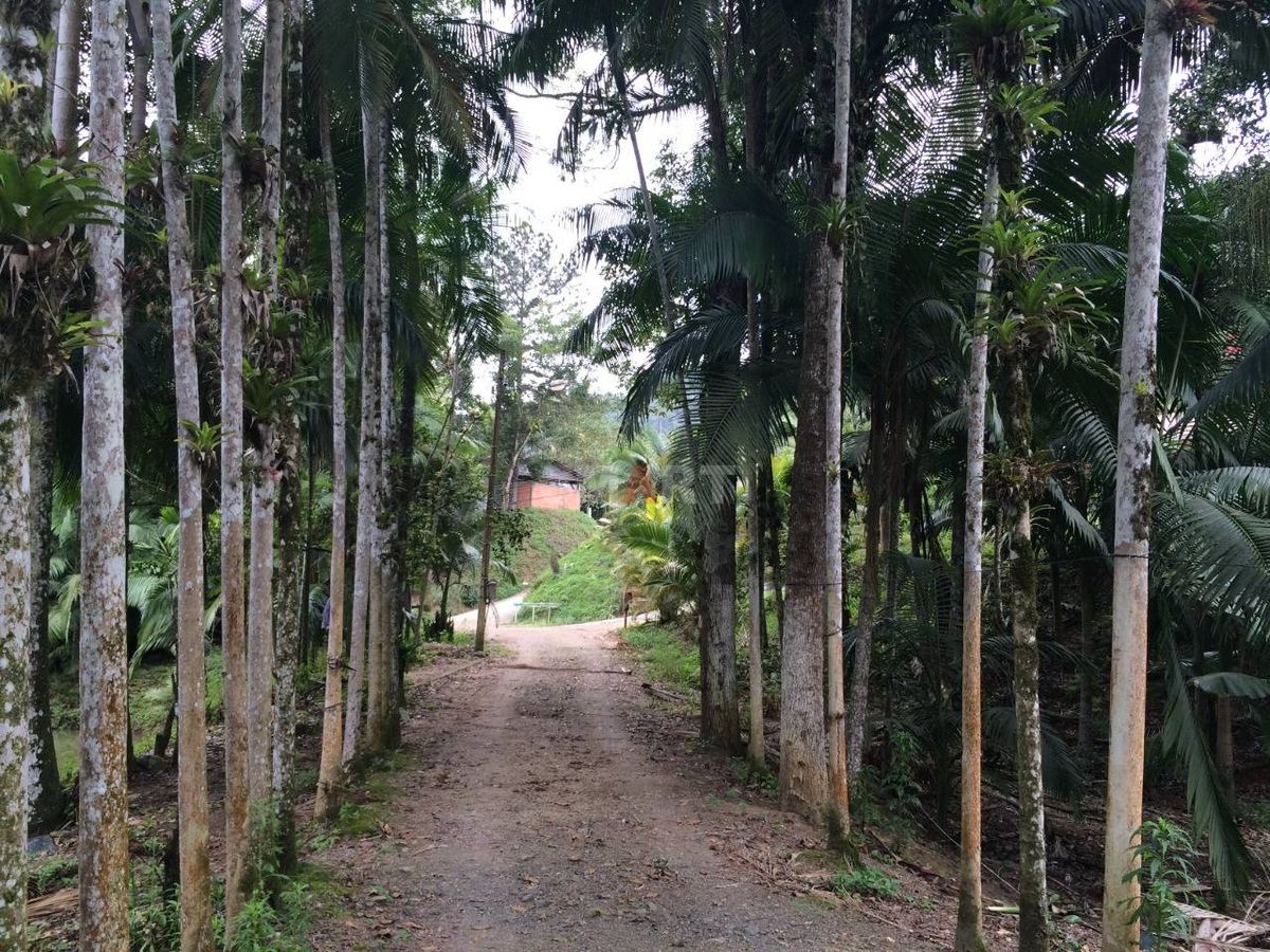 Chácara à Venda em Guaramirim com 7 Lagoas