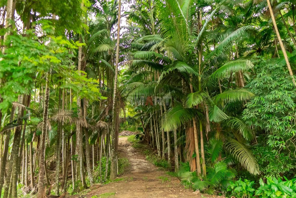 Chácara com 8 Lagoas, 2 Casas e Choupana de Festas em Guaramirim