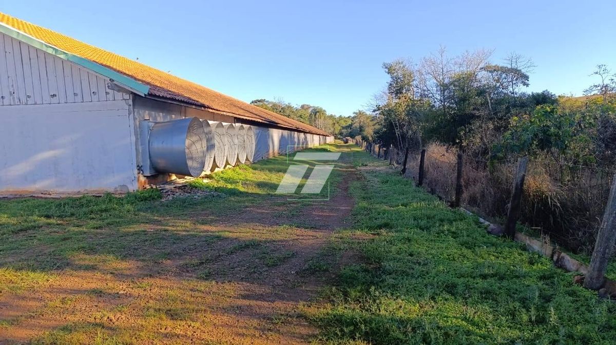 Sítio, 3 hectares - Foto 11