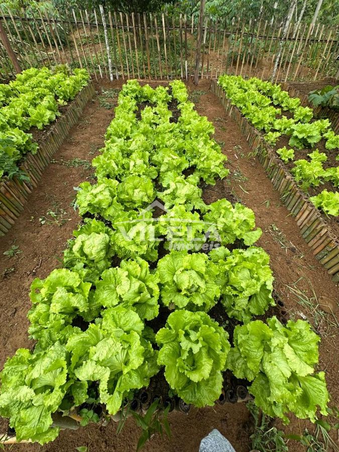 Sítio Completo à Venda em Paraibuna-Sp – Lazer, Natureza e Estrutura - foto 17
