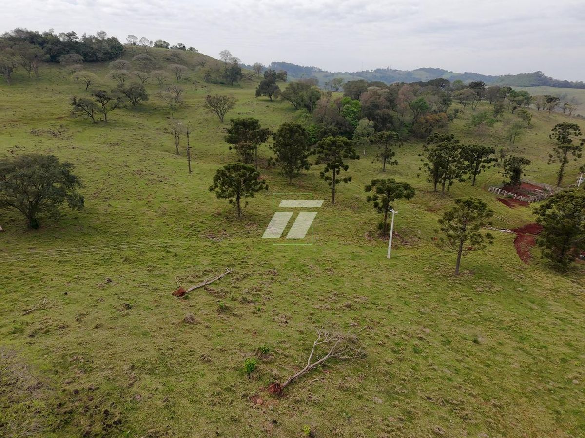 Sítio, 678 m² - Foto 3