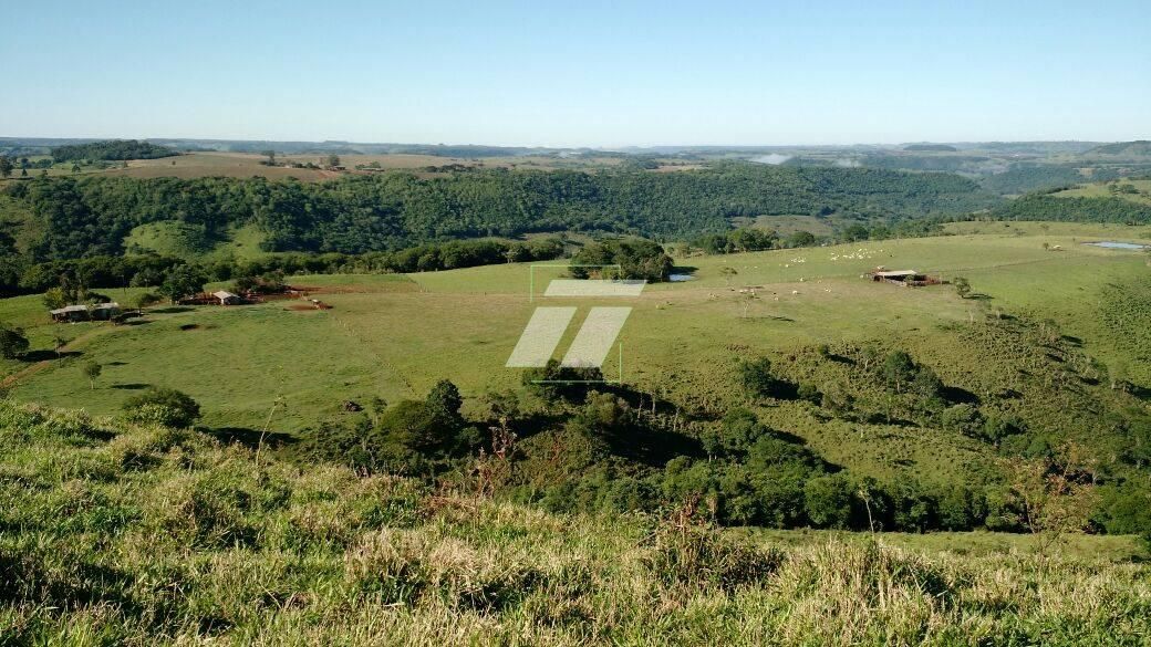 Sítio, 218 hectares - Foto 1