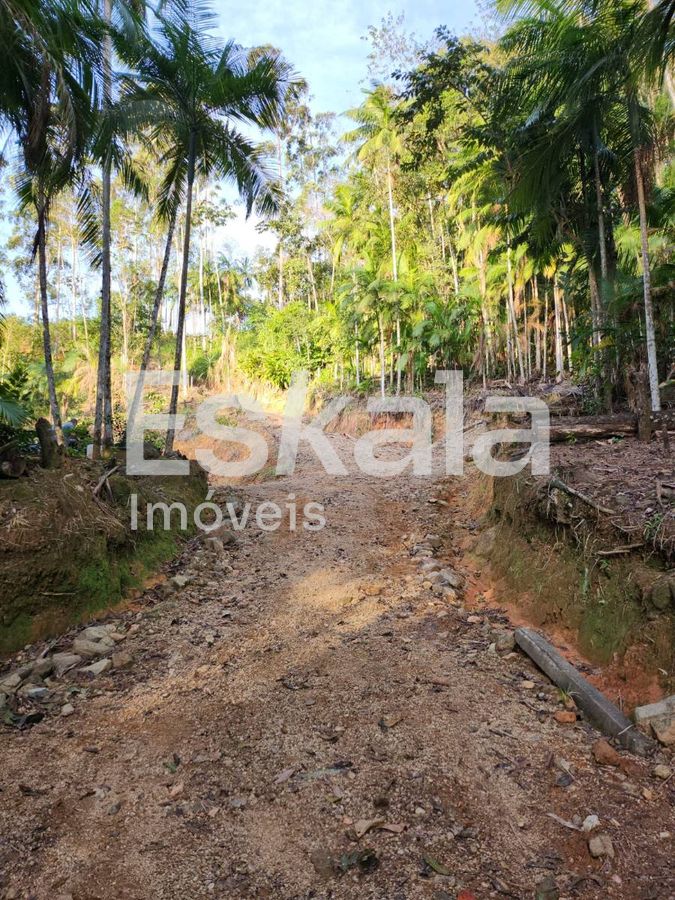 Terreno, 5 hectares - Foto 6