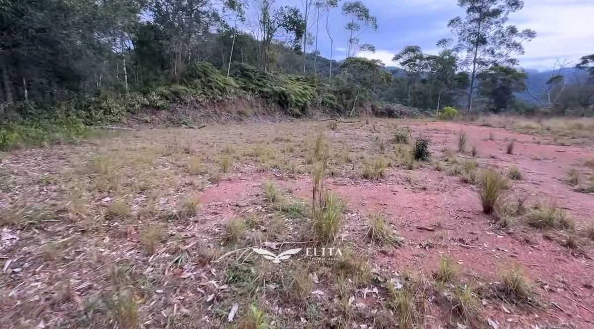 Terreno, 8 hectares - Foto 11