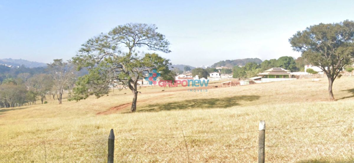 Terreno, 6 hectares - Foto 4