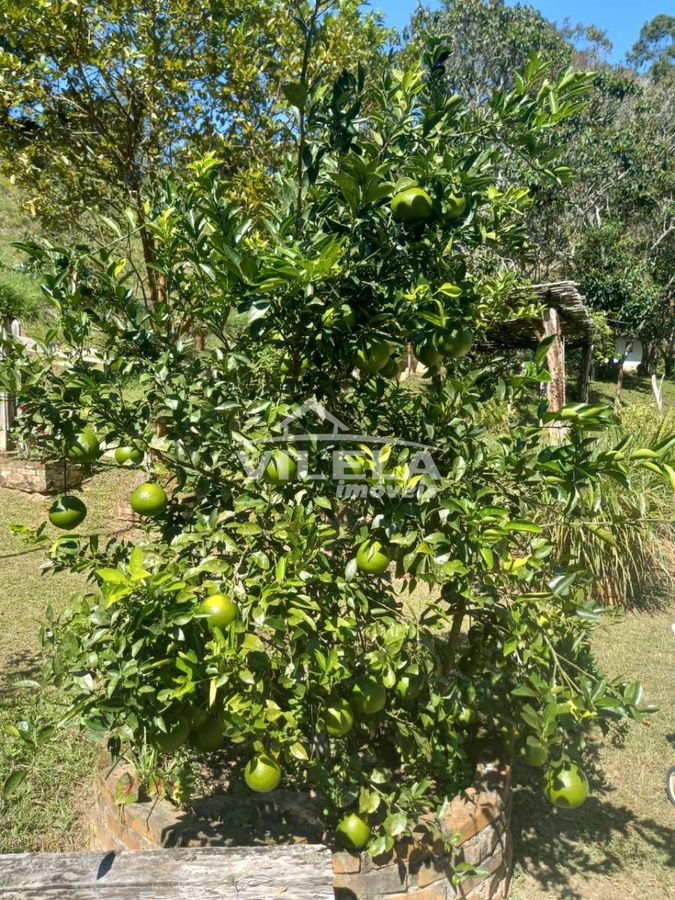 Chácara para venda em natividade da serra
