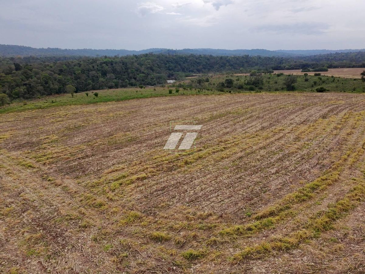 Sítio, 157 hectares - Foto 4