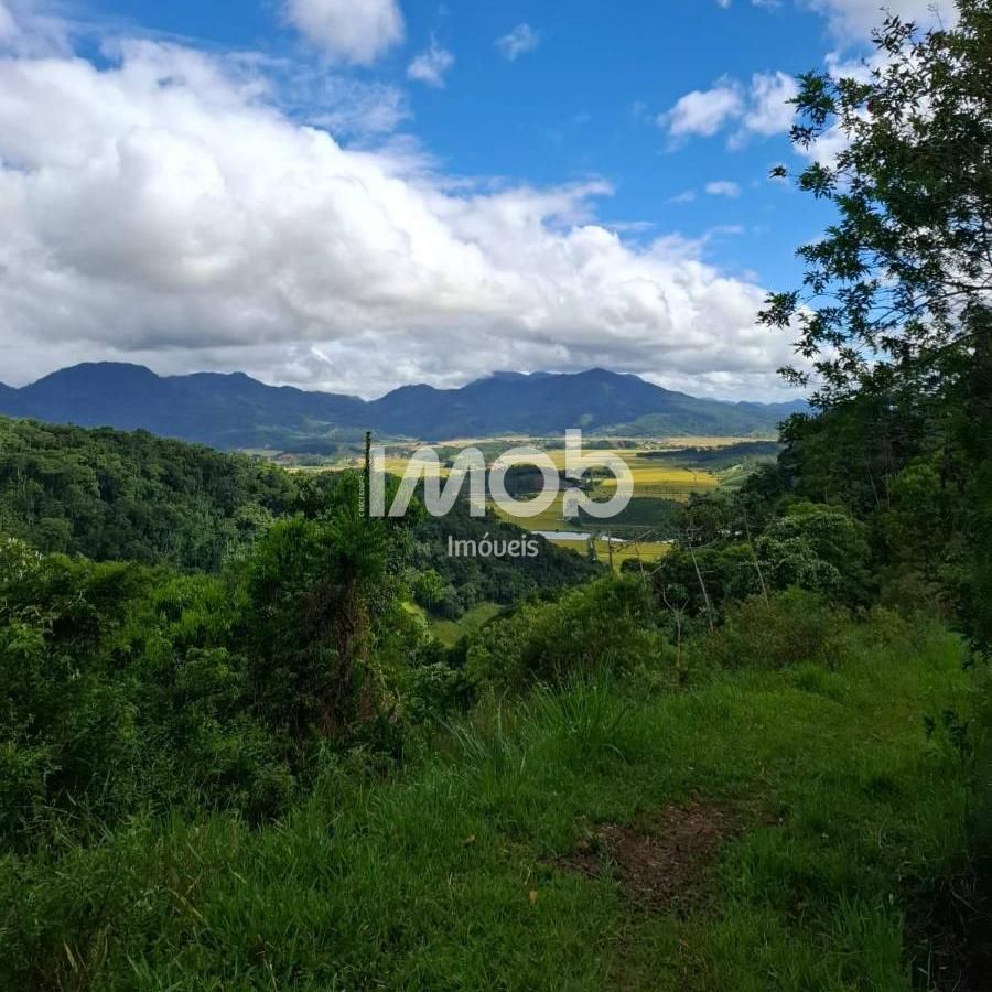 Sítio, 5 hectares - Foto 1