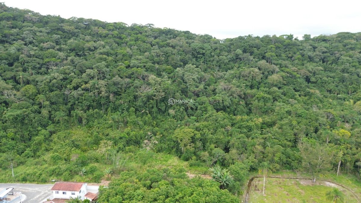 Terreno, 5 hectares - Foto 5