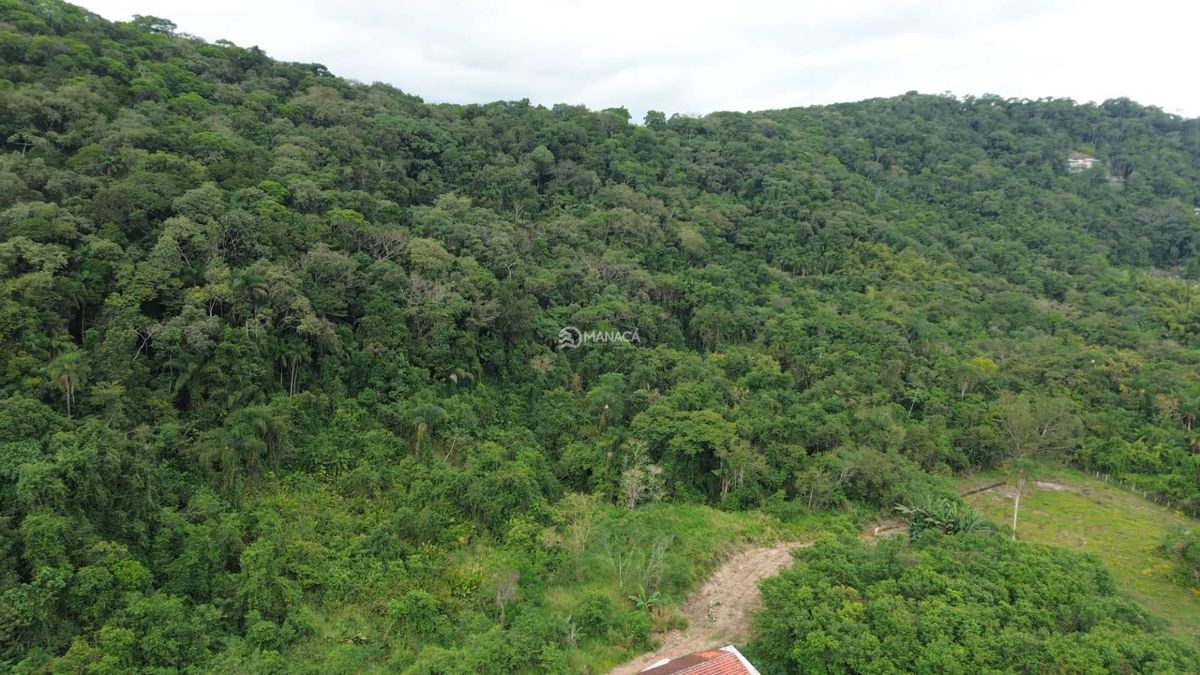Terreno, 5 hectares - Foto 3