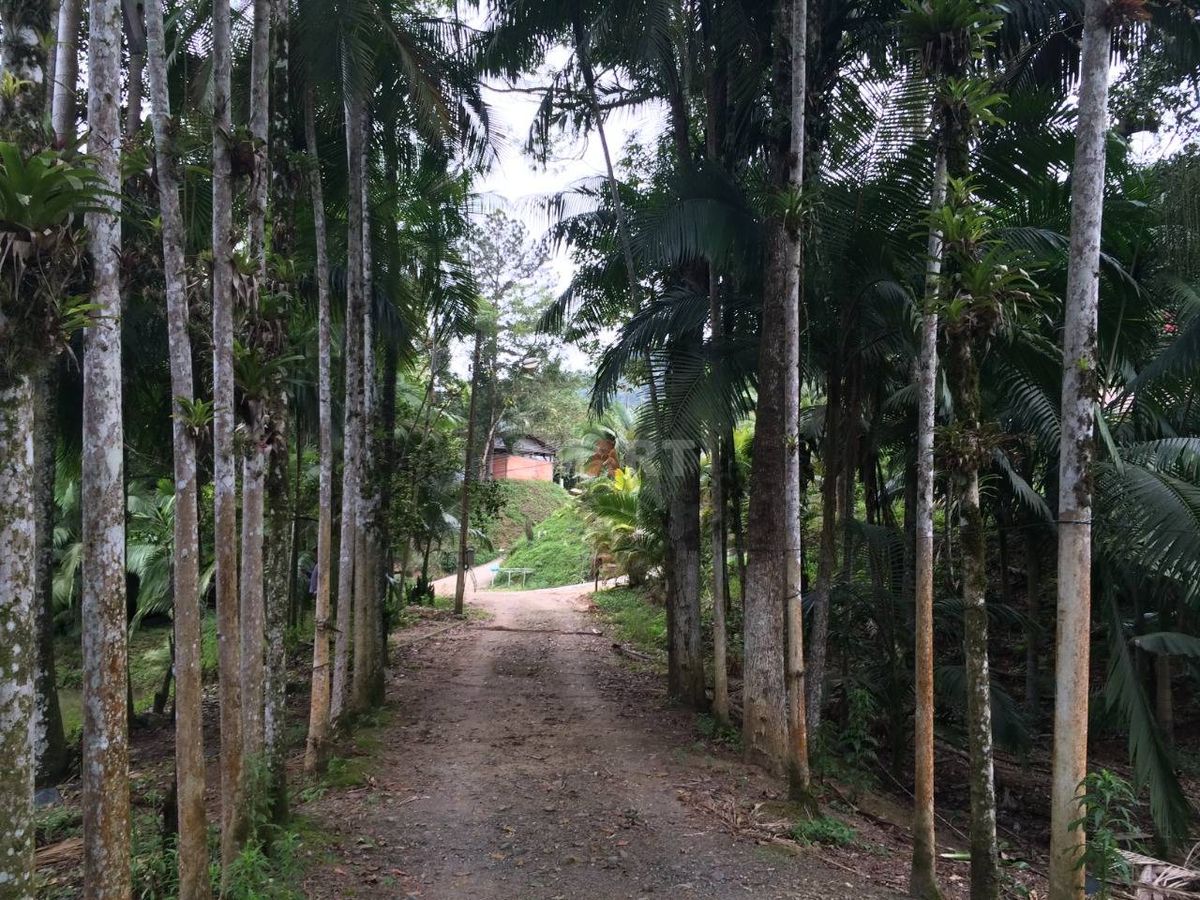 Chácara à Venda em Guaramirim com 7 Lagoas