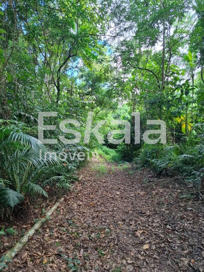 Terreno, 5 hectares - Foto 1
