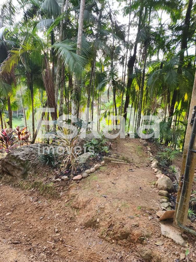 Terreno, 5 hectares - Foto 4