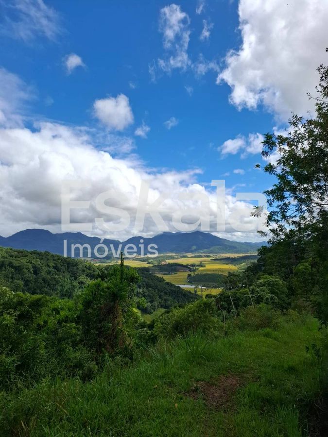Terreno, 5 hectares - Foto 8