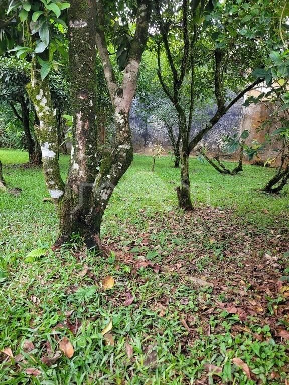 Terreno, 360 m² - Foto 2