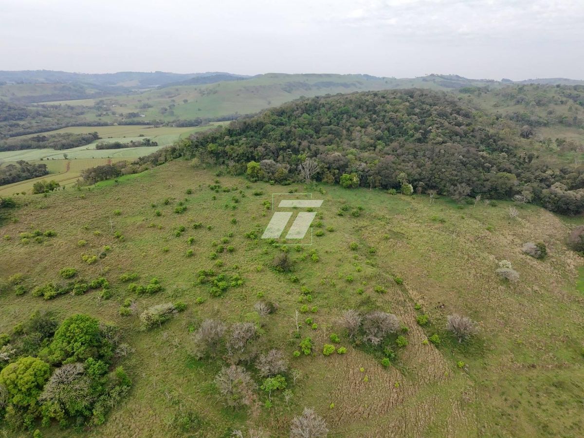 Sítio, 157 hectares - Foto 10