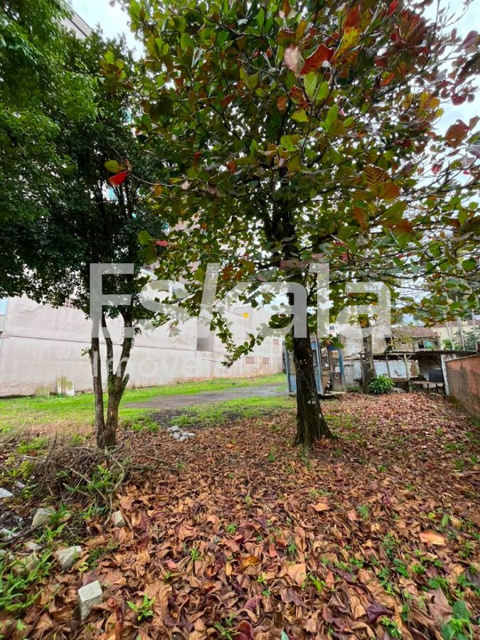Terreno, 1353 m² - Foto 3