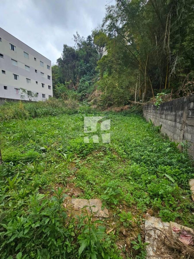 Terreno Financiavel na Vila Ida