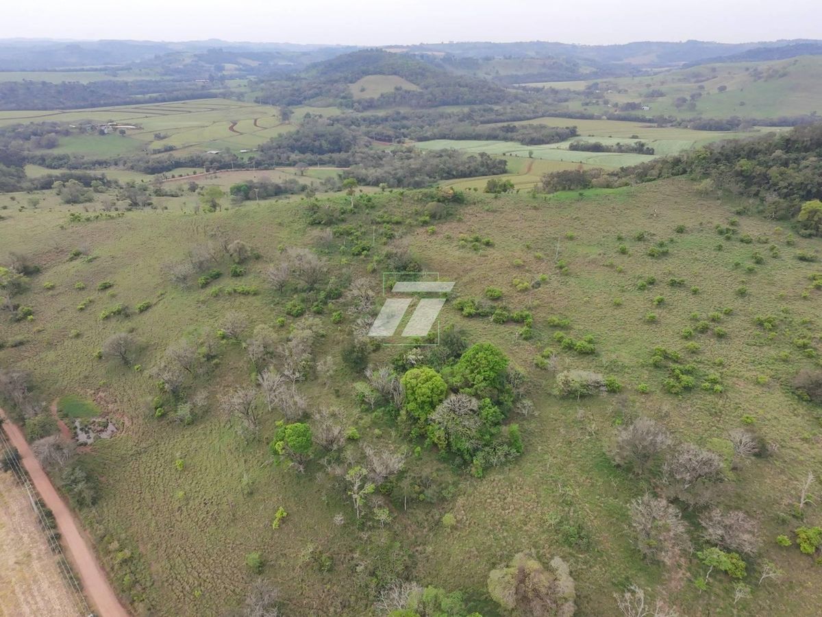 Sítio, 157 hectares - Foto 11