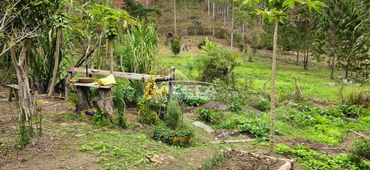 Chácara para venda em natividade da serra