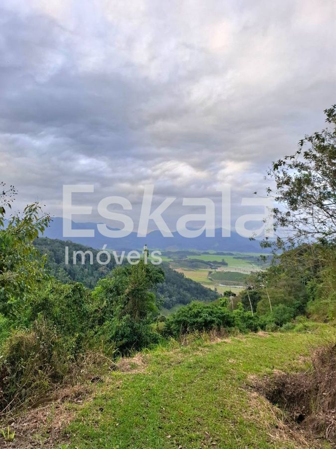 Terreno, 5 hectares - Foto 7