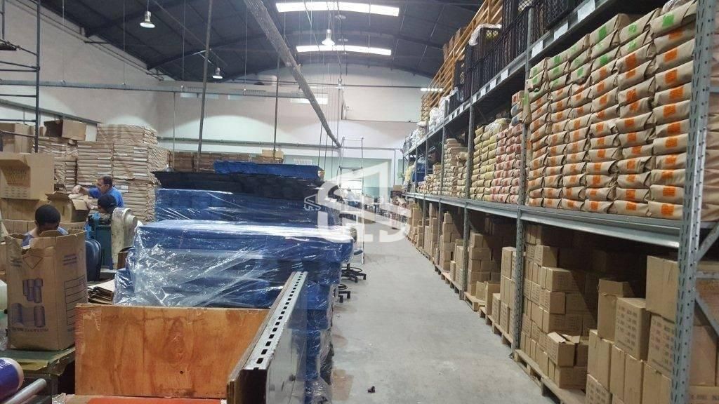 Depósito-Galpão, 1000 m² - Foto 7