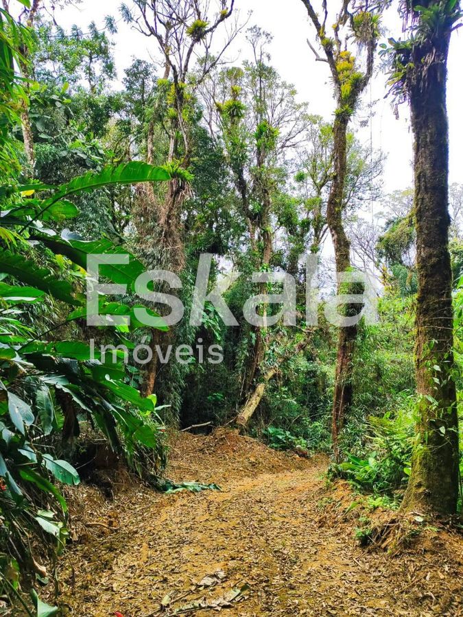 Chácara com 200Mil m² Manso - Jaraguá Do Sul