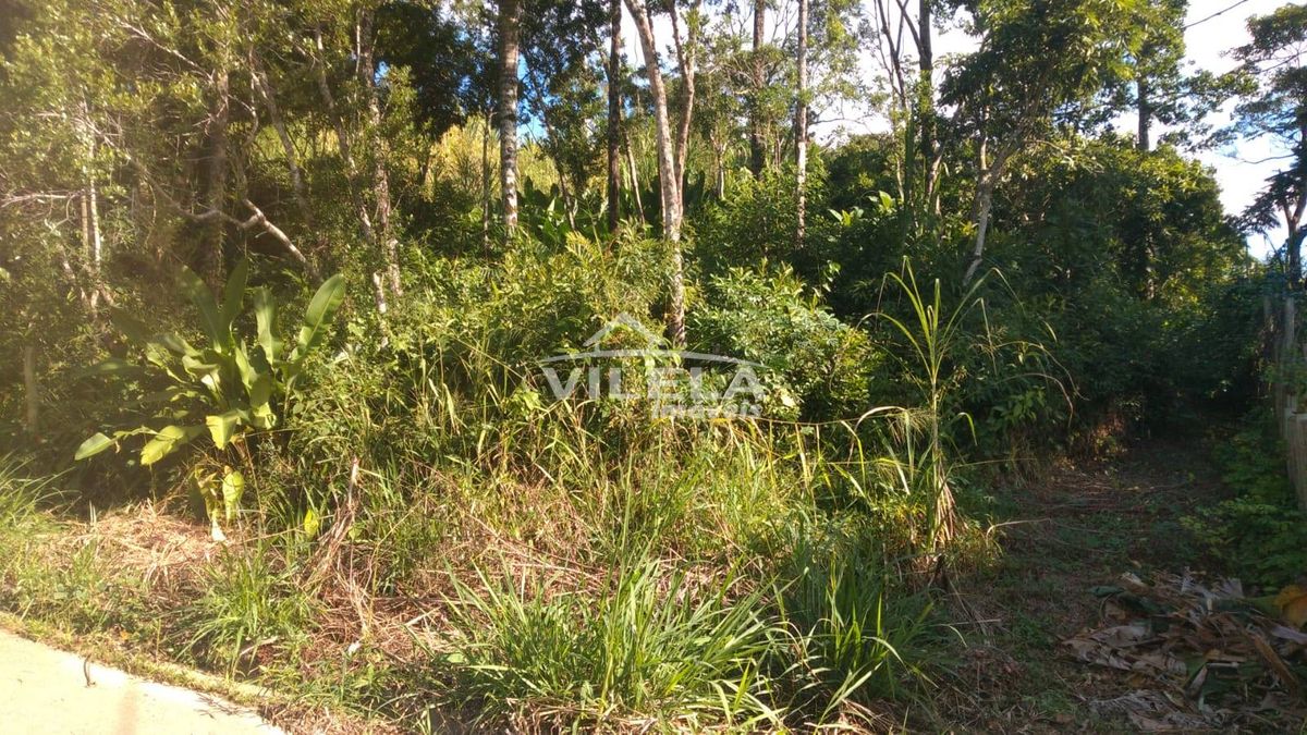 Lote/Terreno à Venda, Massaguaçu - Caraguatatuba- SP