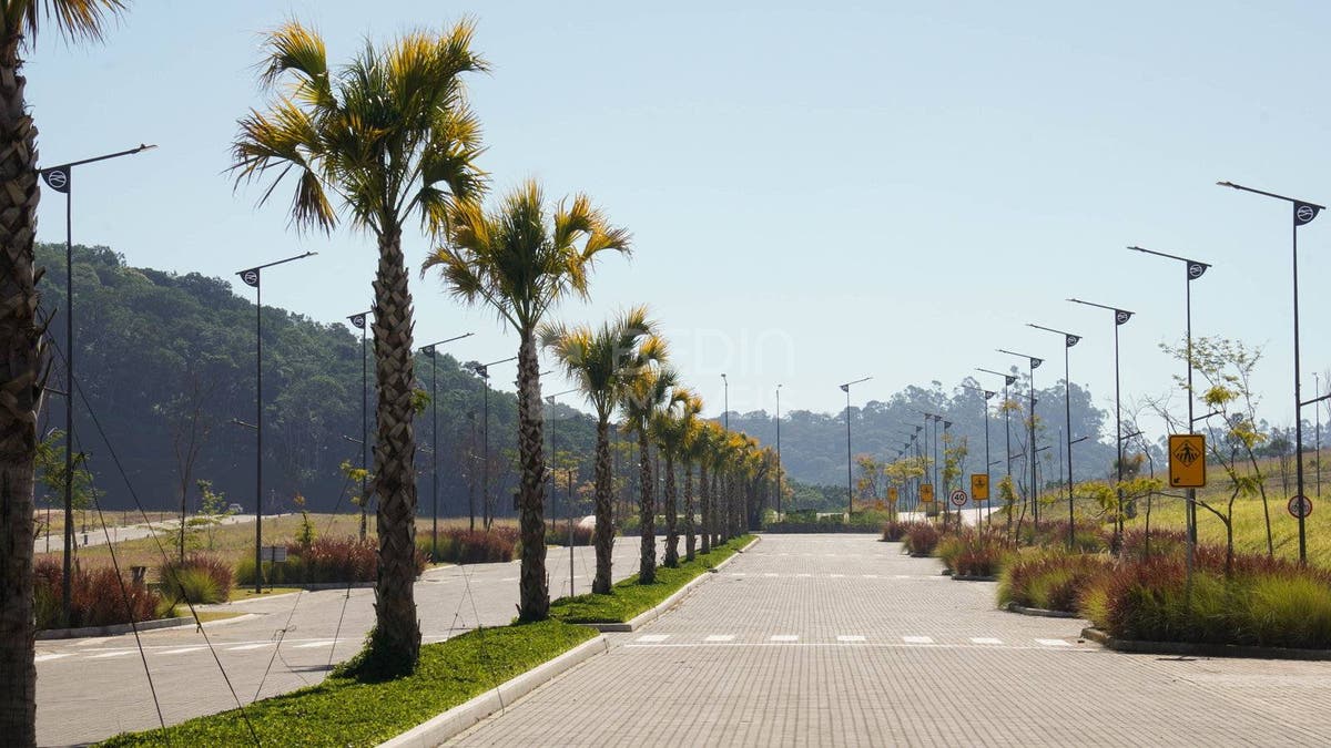 1691510660856_21640b7b-619b-4dd2-b938-f07b39a5e805.jpg