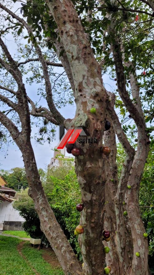 Casa com 4 quatro quartos para locação trindade florianópolis