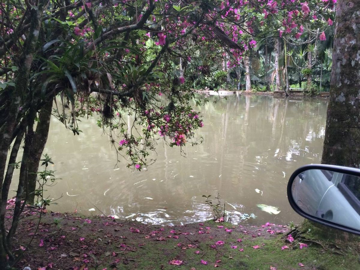 Chácara à Venda em Guaramirim com 7 Lagoas