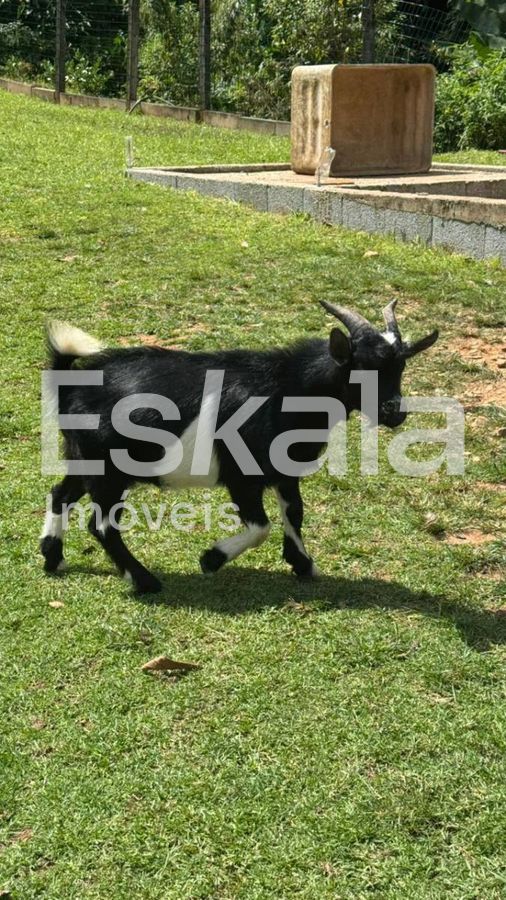 Chácara com 30 mil m² Schroeder