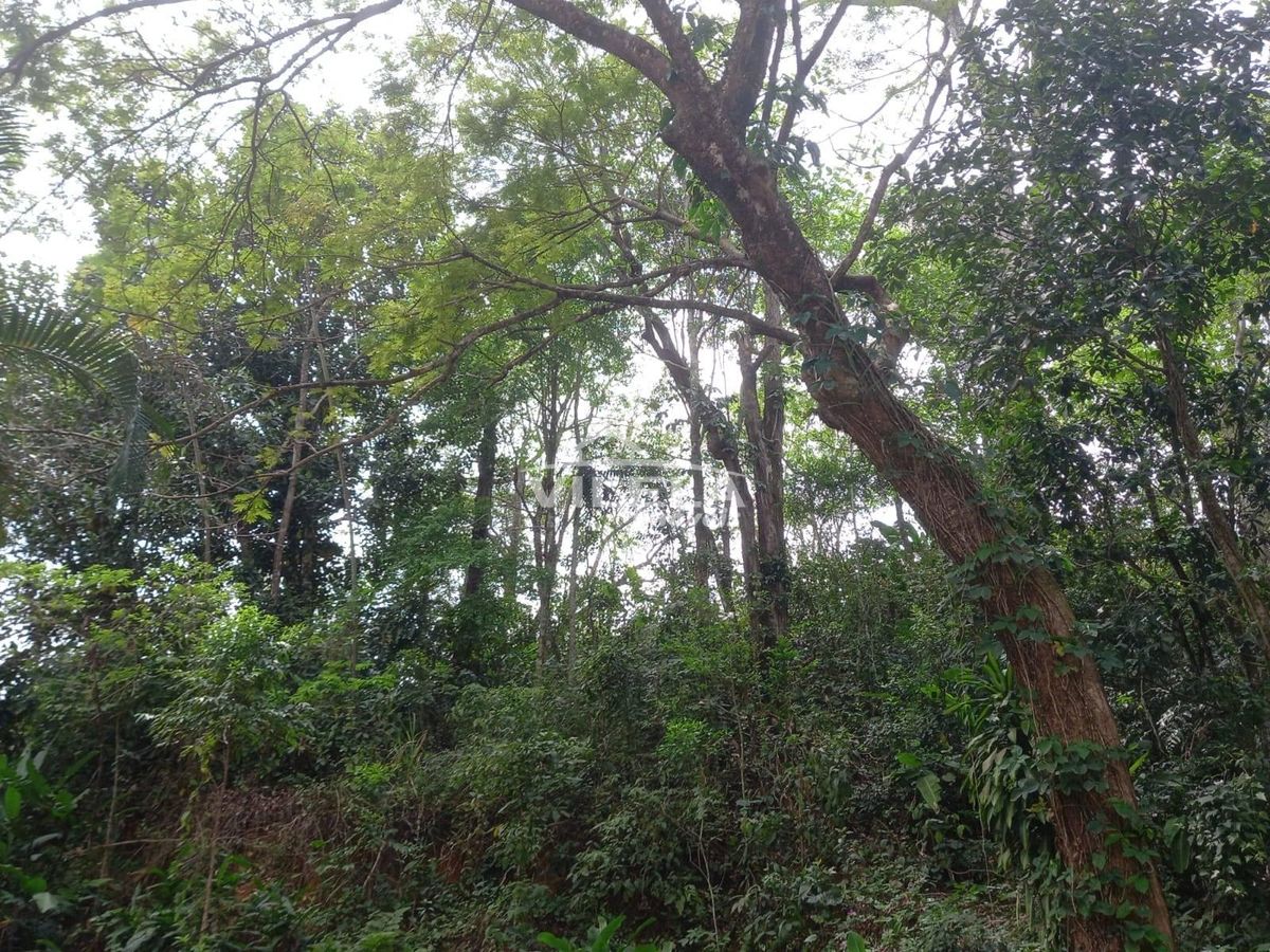 Terreno a poucos metros da praia - Massaguaçu.