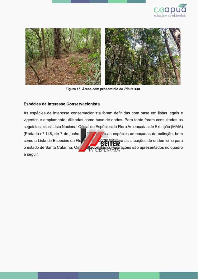 Terreno estratégico 27.886 m² em Santo Antônio de Lisboa, estudo técnico e potencial de regularização