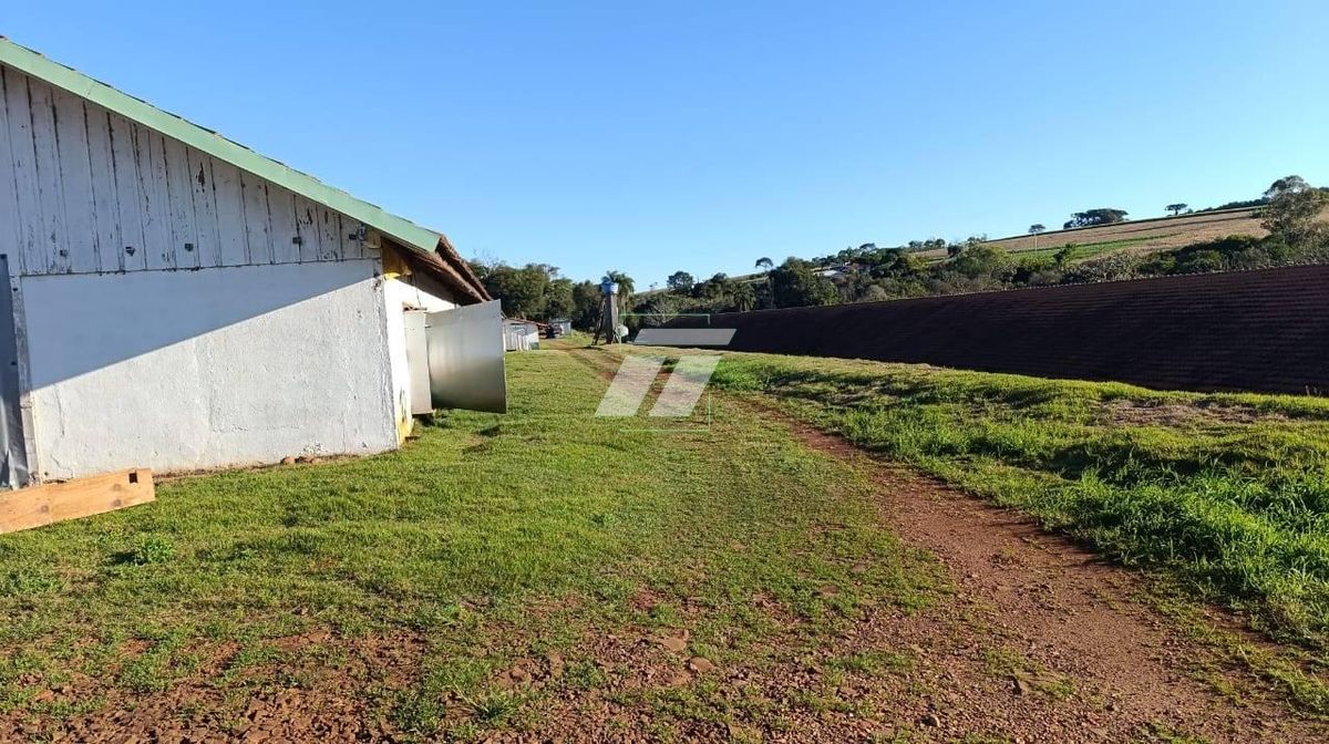 Sítio, 3 hectares - Foto 13