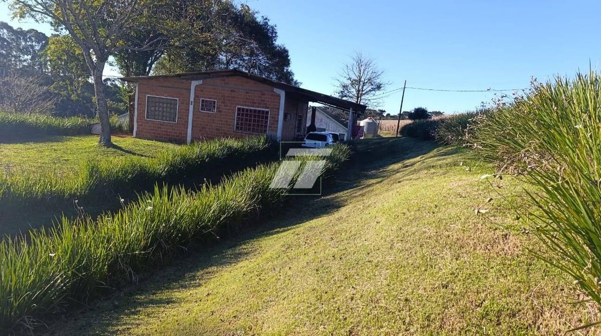 Sítio, 3 hectares - Foto 16