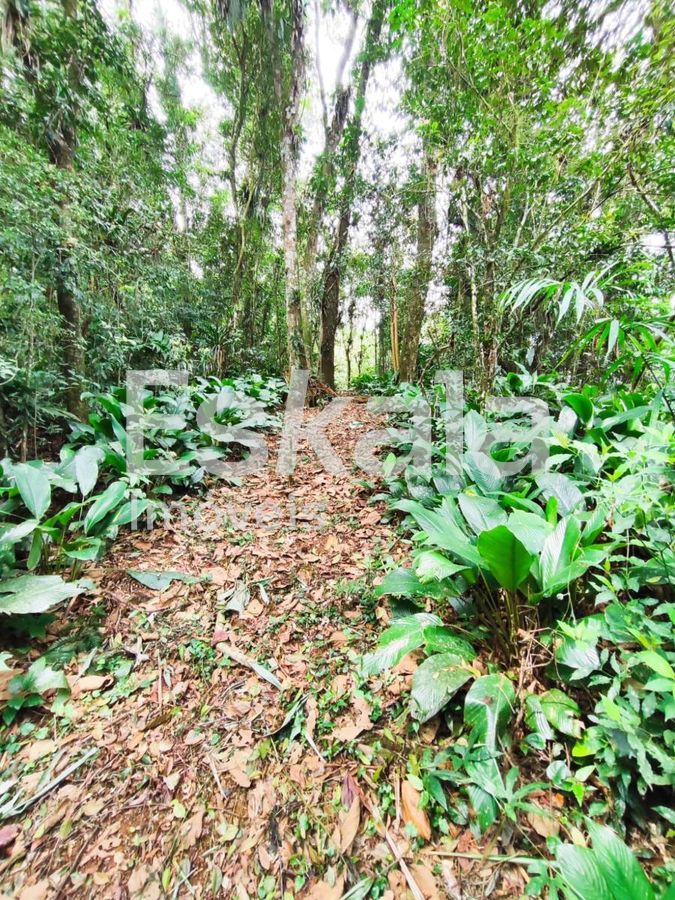Chácara com 200Mil m² Manso - Jaraguá Do Sul
