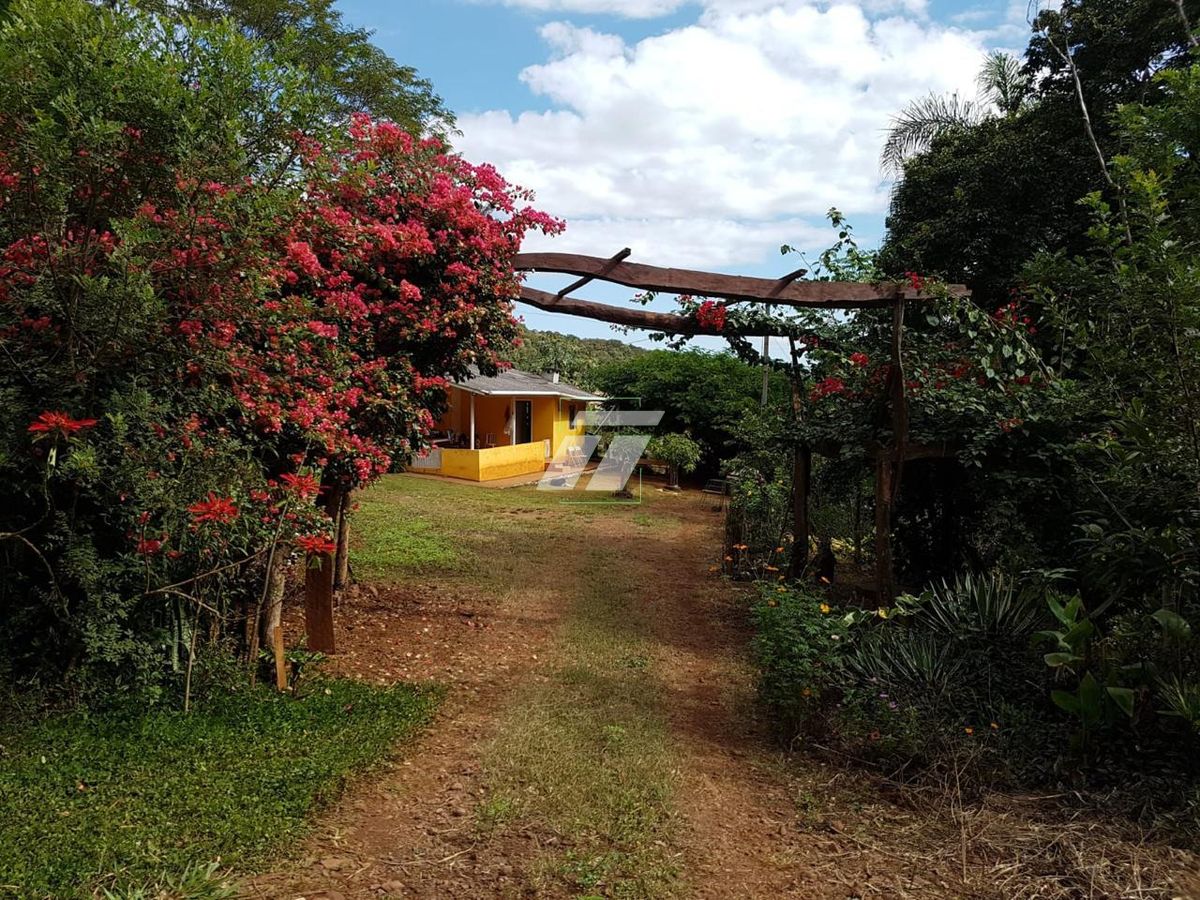 Sítio, 4 hectares - Foto 19